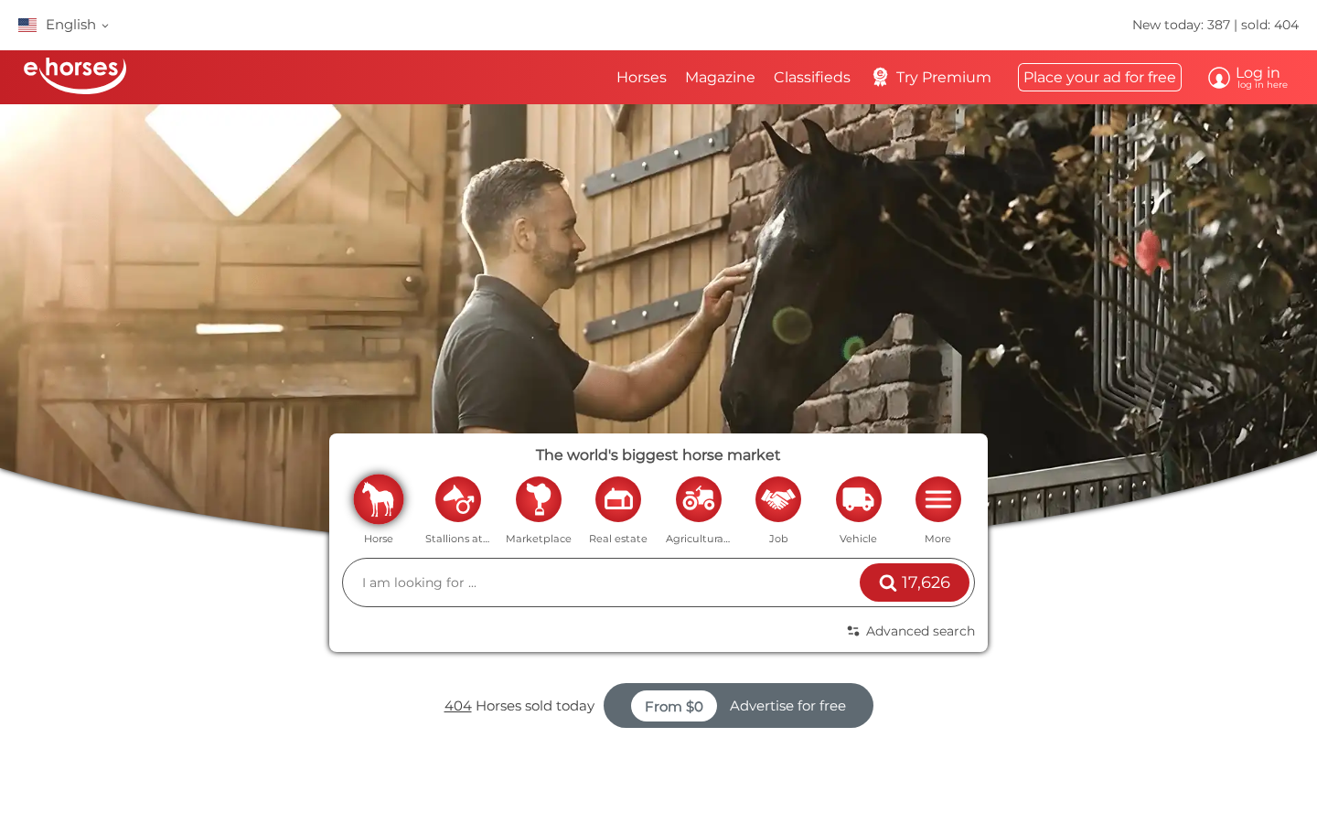 ehorses homepage